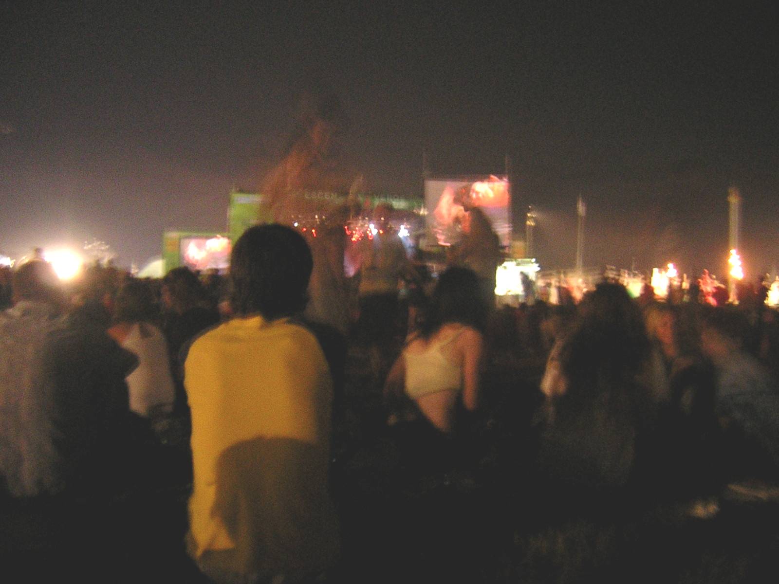 fiberfib 017.jpg